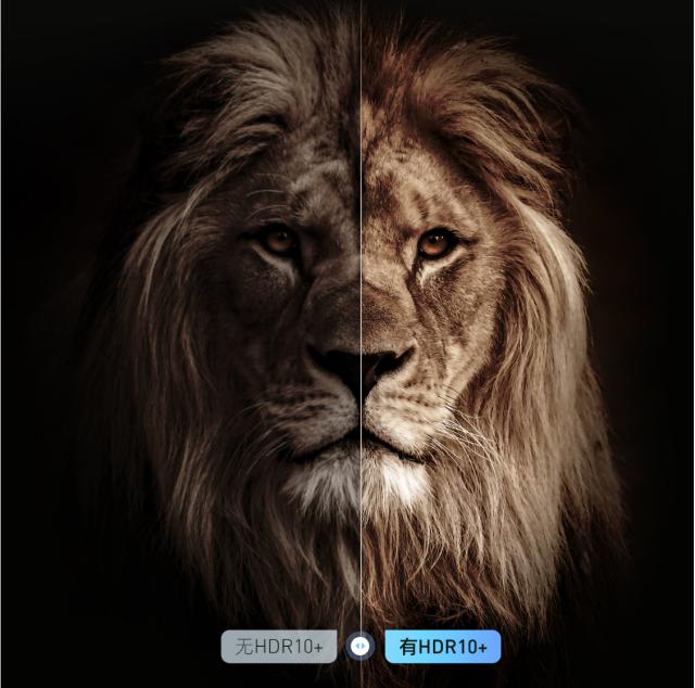 卡梅隆导演作品有哪些 最伟大20导演之一的卡梅隆不只阿凡达(3)