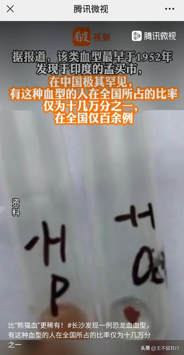 长沙发现一粒恐龙血(罕见长沙发现一例)(2)