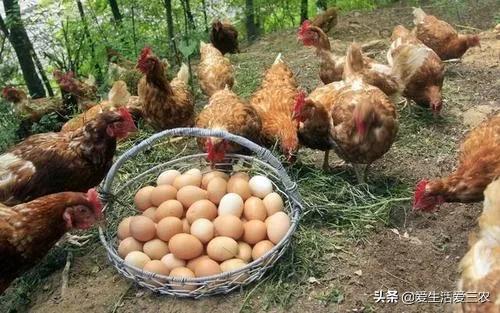 低成本小投资赚钱项目：投资二十万挣钱好项目