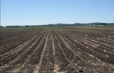 ​说说《农民王小》吧