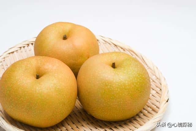 梨的所有品种和样子(梨的品种及图片名称)