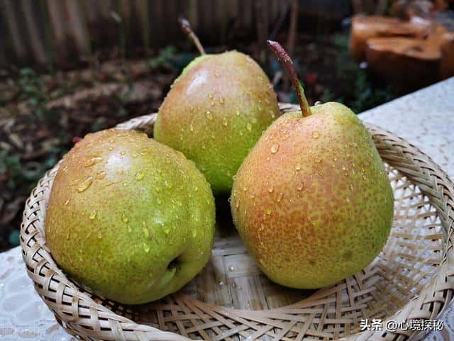 梨的所有品种和样子(梨的品种及图片名称)