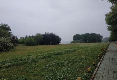 ​未来十年最紧缺的职业文科(文科生未来可以选择的职业)