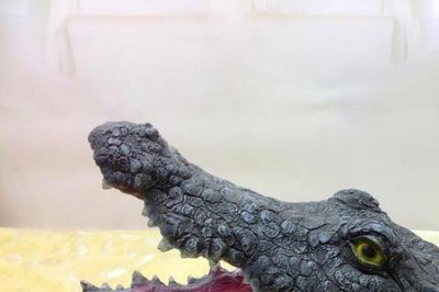 ​鳄鱼标本摆件放家里好吗