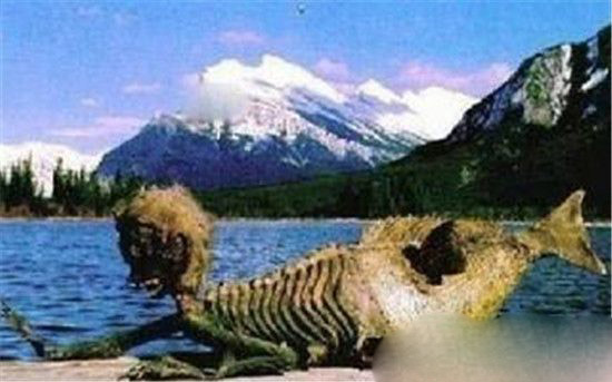 日本藏有世界最大美人鱼木乃伊 现已有1000多年历史