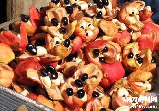 盘点世界十大奇异水果，莲雾长得像红辣椒味道却很甜  世界之最  第2张