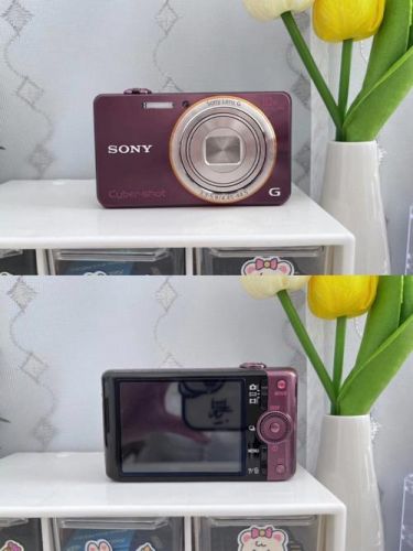 性价比高的数码相机推荐，性价比高的数码相机适合学生用-第1张图片-