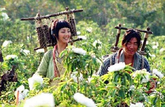 杨千嬅友情岁月（大笑姑婆杨千嬅曾经贡献了多少部爱情喜剧）(16)