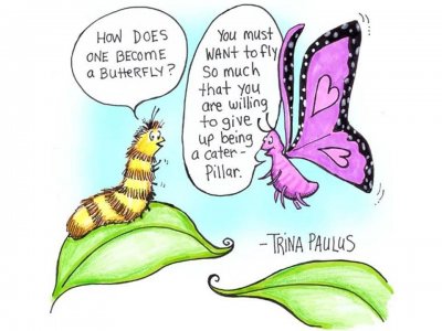 ​蝴蝶是不是昆虫类动物（蝴蝶会有毛毛虫时期的记忆吗）