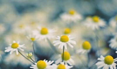 ​股票群名称大全霸气 这些名字好听又霸气