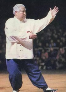 ​杨式太极双雄：杨澄甫和傅钟文