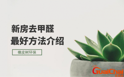 ​新房除甲醛最好的方法是什么？怎样帮你快速去除甲醛？