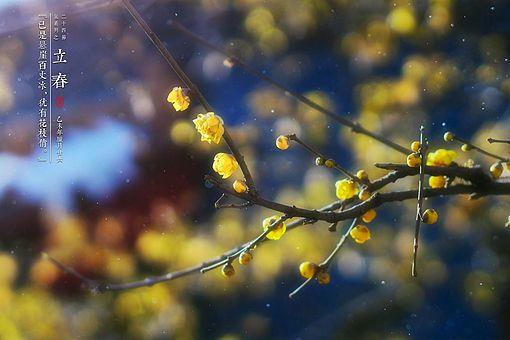 阳和启蛰,品物皆春的意思是什么(含出处,解析,典故,全诗赏析)