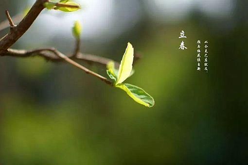 阳和启蛰,品物皆春的意思是什么(含出处,解析,典故,全诗赏析)