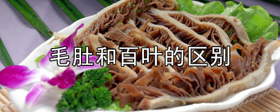 毛肚和百叶有什么区别 毛肚的营养价值与功效