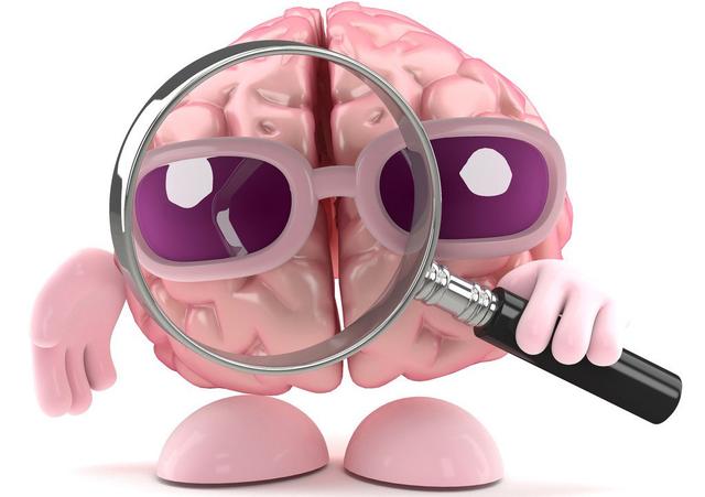 记忆的神经学原理 揭秘记忆的基本原理(2)