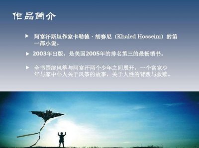 ​追风筝的人简介（追风筝的人内容简介）