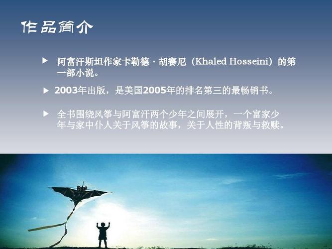 追风筝的人简介(追风筝的人内容简介)