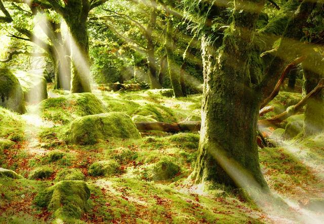 蓝精灵和格格巫故事简介(几十年了才发现)(5)