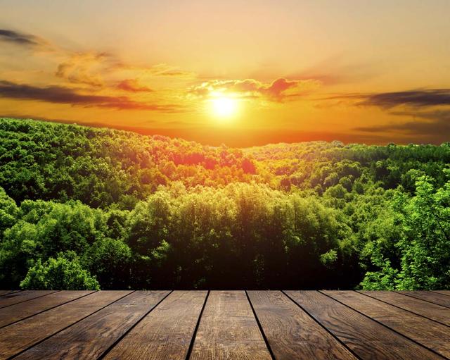 蓝精灵和格格巫故事简介(几十年了才发现)(2)