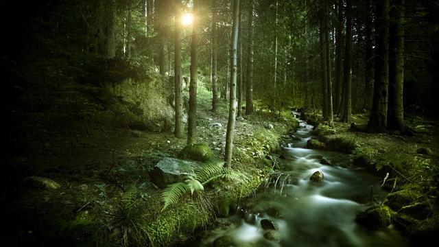 蓝精灵和格格巫故事简介(几十年了才发现)(4)