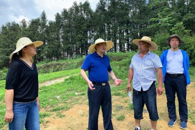 ​郭正勇到仙桥乡督导调研