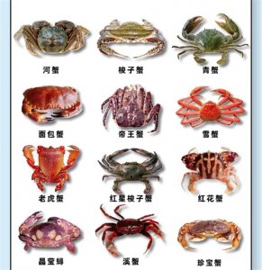 ​一口气读完螃蟹的可食用部位说明！及常见螃蟹的区别！