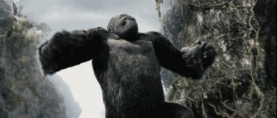 ​号称最强灵长类动物——银背大猩猩，天生强者，无需锻炼就是猛男