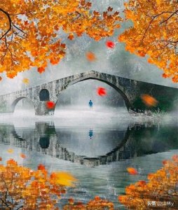 ​62幅世界顶级摄影作品欣赏，每一幅都令人震撼！