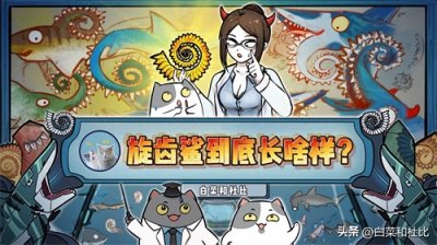 ​旋齿鲨到底长啥样？（白菜和杜比的百科漫画）