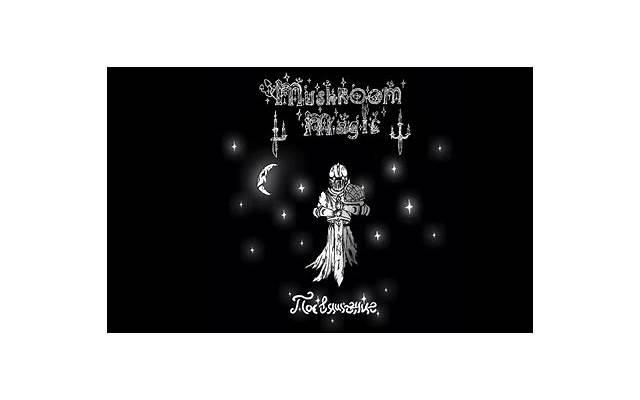 哪些星座恋爱中的账单最多 为浪漫买单