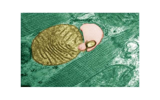 最可怕的三大星座 最可怕的几个星座 最可怕的三大星座 最可怕的几个星座