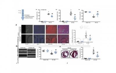 ​巨蟹座命中注定的情人，失去巨蟹座会疯的星座