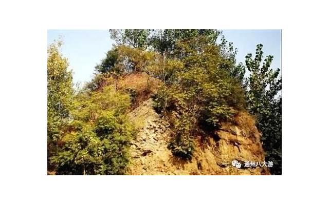 十二星座在古代的身份