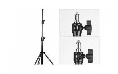 ​真正善良的星座 非常讨人喜爱的四大星座