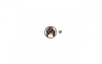 ​十二星座真实颜值排名「十二星座最新颜值排行榜」