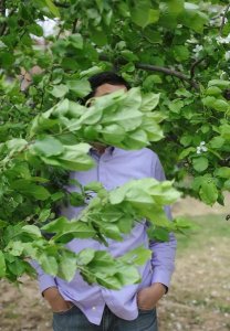 ​关于北京的图片(北京风景图片大全高清)