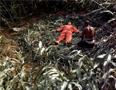 ​约会去哪里？首选苞米地和小树林