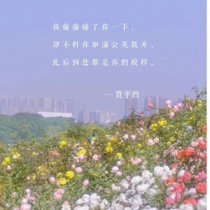 ​我会用二十五种语言说我爱你