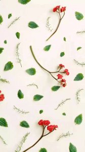 ​「壁纸」要为自己而活，你的快乐是第一 。小清新壁纸 收藏点赞哦