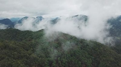 ​亚热带常绿硬叶林的特点_亚热带常绿硬叶林和阔叶林的区别