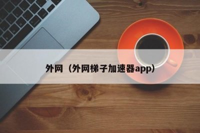 ​外网（外网梯子加速器app）